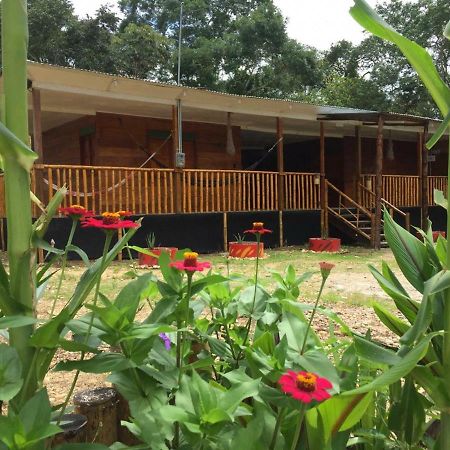 Hostal Cano Nevera La Macarena Екстериор снимка